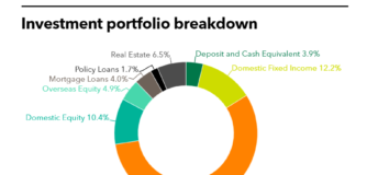 Fubon Life Insurance's investment portfolio breakdown