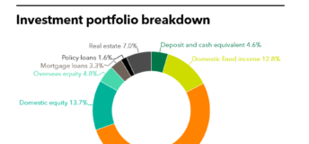 Fubon Life Insurance's investment portfolio breakdown