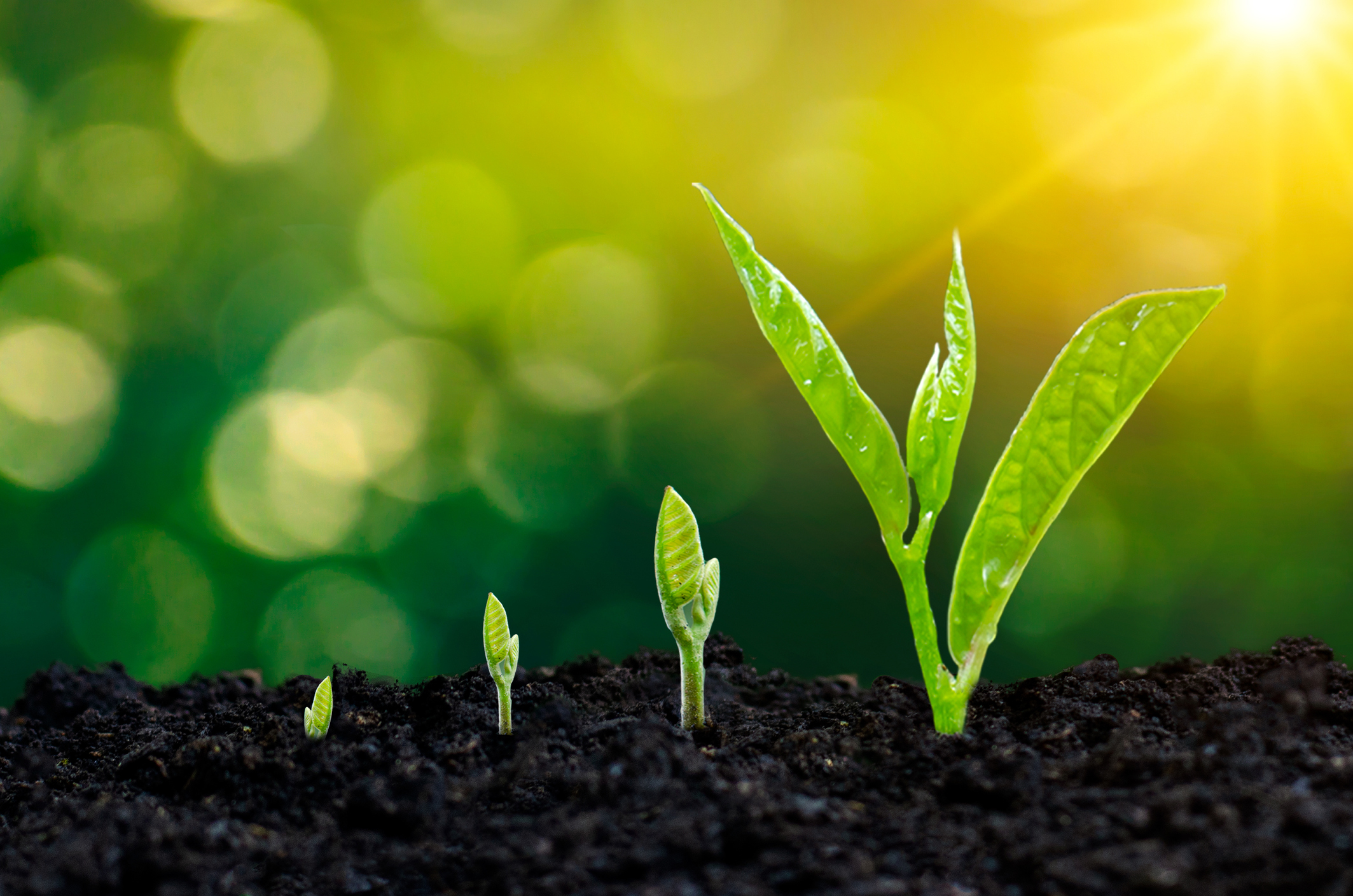 GPs and LPs benefiting from a growth approach