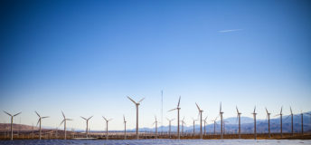 Field of Solar Panels and Windmills