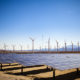 Field of Solar Panels and Windmills