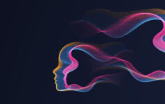On the minds of abstract heads faces