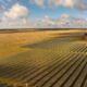 Aerial view of Darlington Point Solar Farm in New South Wales, owned by Octopus Australia
