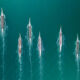 Race