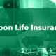 fubon life insurance
