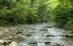 Flowing water stream