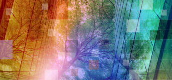 Private Markets 2030 sustainability theme banner