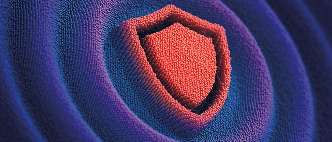 Cybersecurity shield