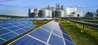 Industries embrace solar panels for cost-effective, sustainable energy, reducing environmental impact, green factory industry, renewable energy concept