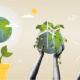 A globe grows from a plant pot, another is held up with two hands, and a third floats inside a light bulb