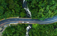 EBRD eyes infrastructure as the next frontier for nature finance Road and forest
