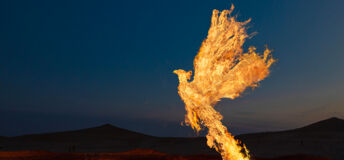 A flaming phoenix rising from the ashes
