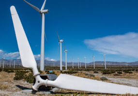 Broken turbine propeller lays on the ground in a field of wind turbines