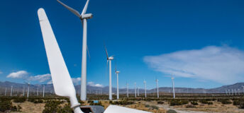 Broken turbine propeller lays on the ground in a field of wind turbines