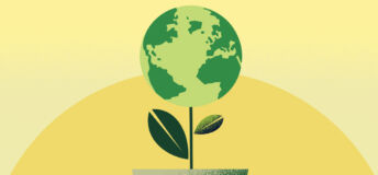 world plant