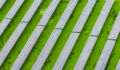 Rows of solar panels installed across farmland, illustrating the connection between renewable energy and rural landscapes, where technology and agriculture work together for a sustainable future.