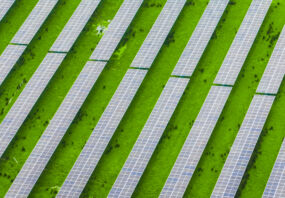 Rows of solar panels installed across farmland, illustrating the connection between renewable energy and rural landscapes, where technology and agriculture work together for a sustainable future.
