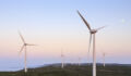 Hesta calls for more innovation and deployment in Australian renewables Wind turbines at the Albany Wind Farm, Western Australia, before Dawn