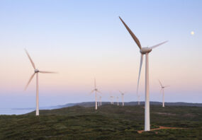 Wind turbines at the Albany Wind Farm, Western Australia, before Dawn